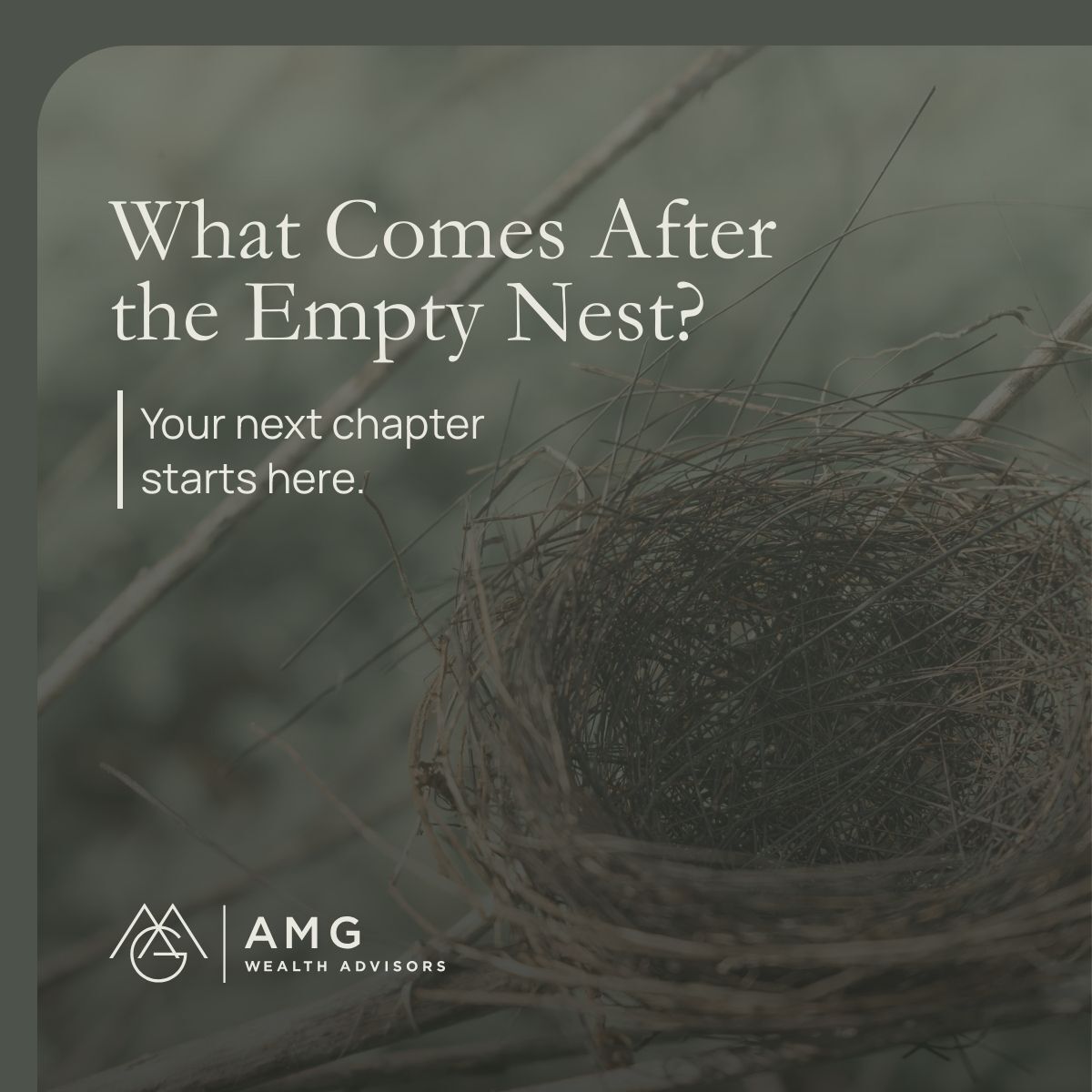 AMG November Newsletter