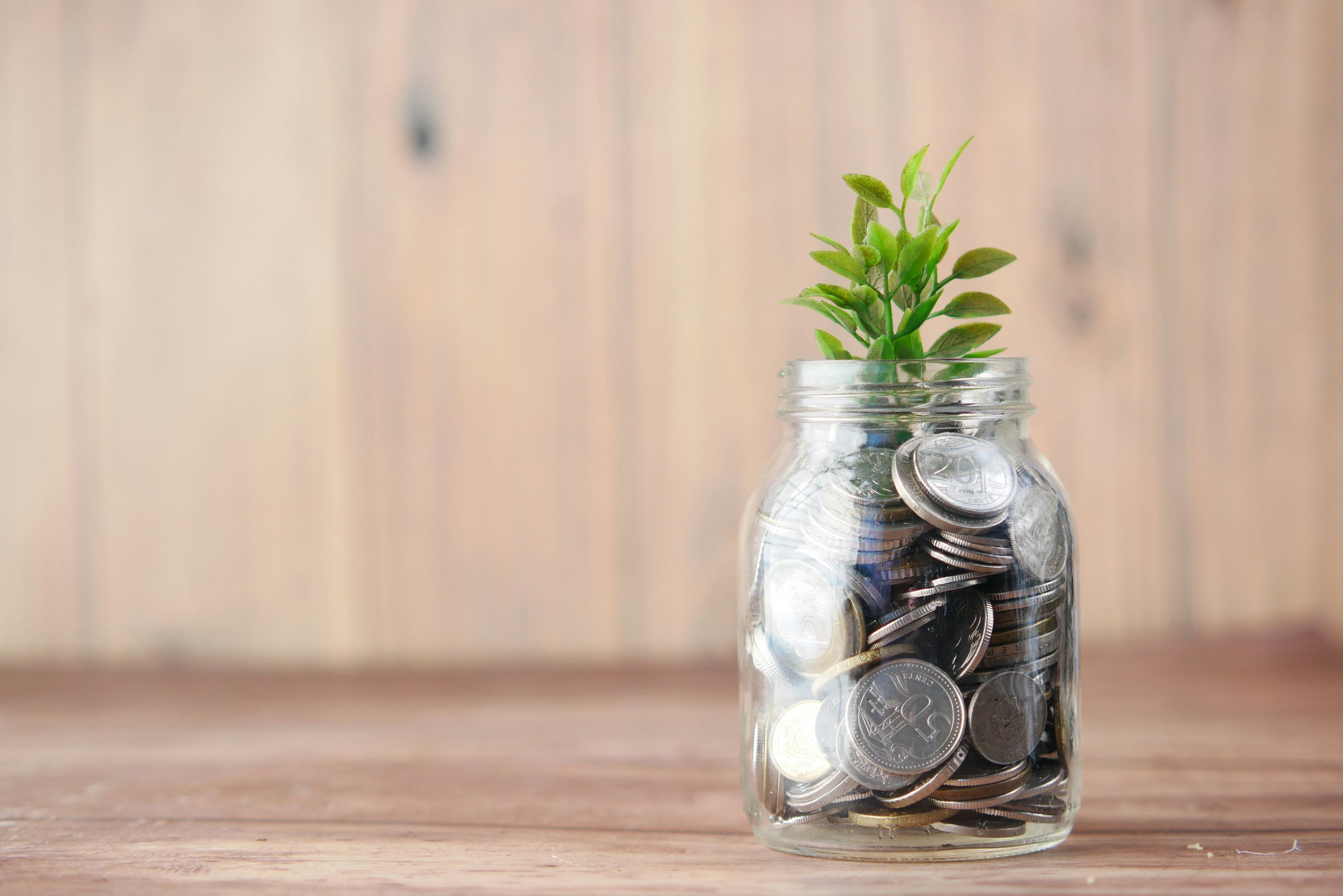 What to Do With Stock Options, RSUs, or a Business Windfall