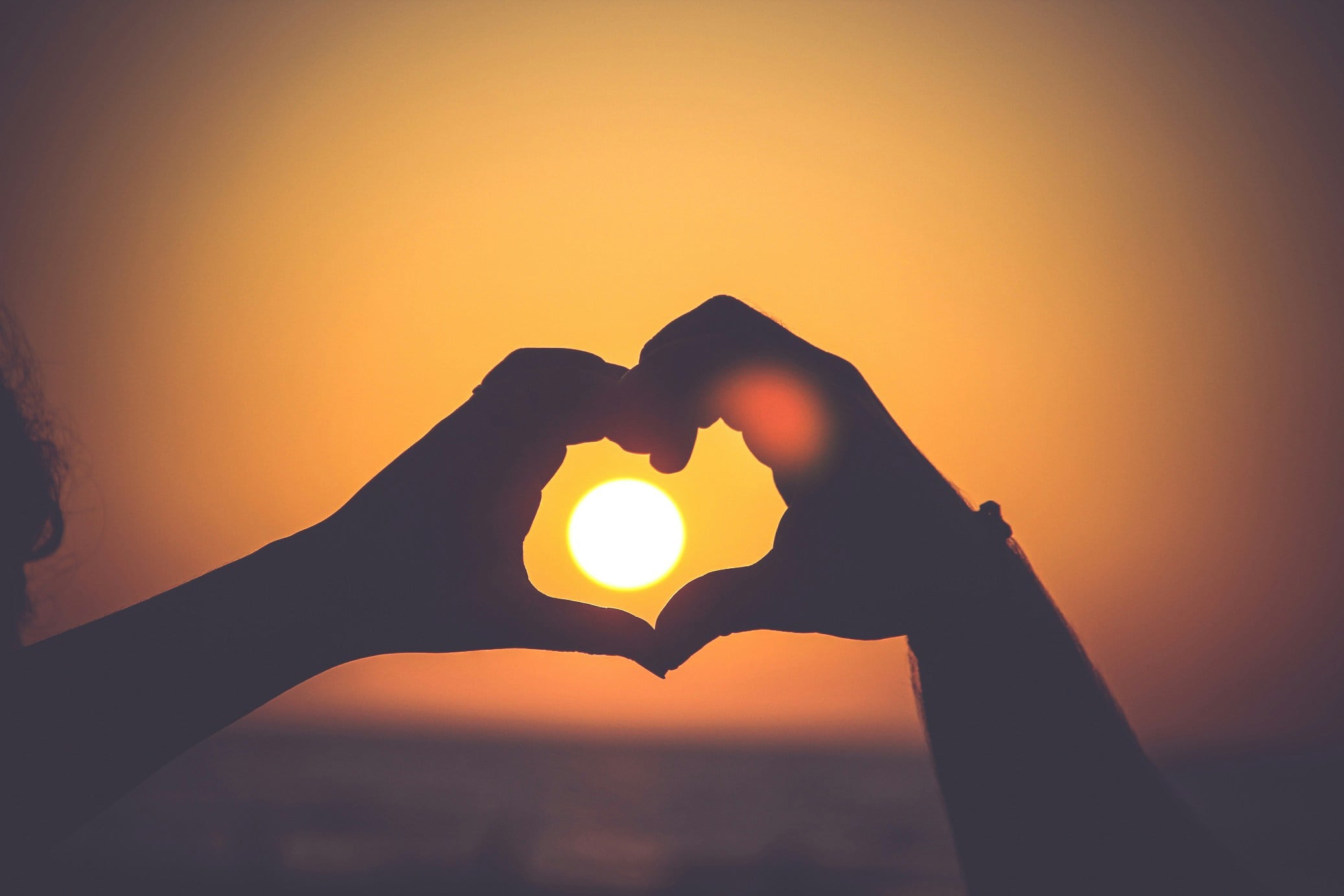 AMG February Newsletter